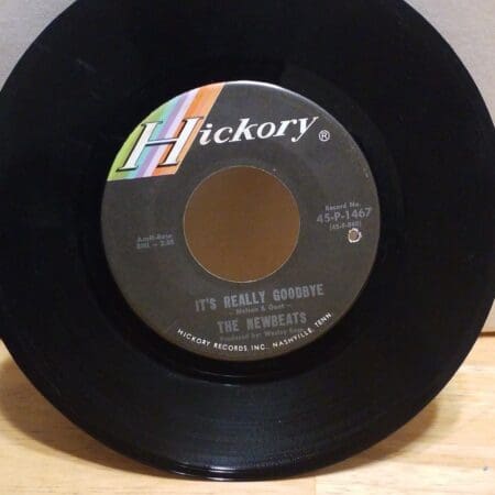 The Newbeats - 45 Vinyl Record - Hide the Moon, It's Really Goodbye - Hickory Records